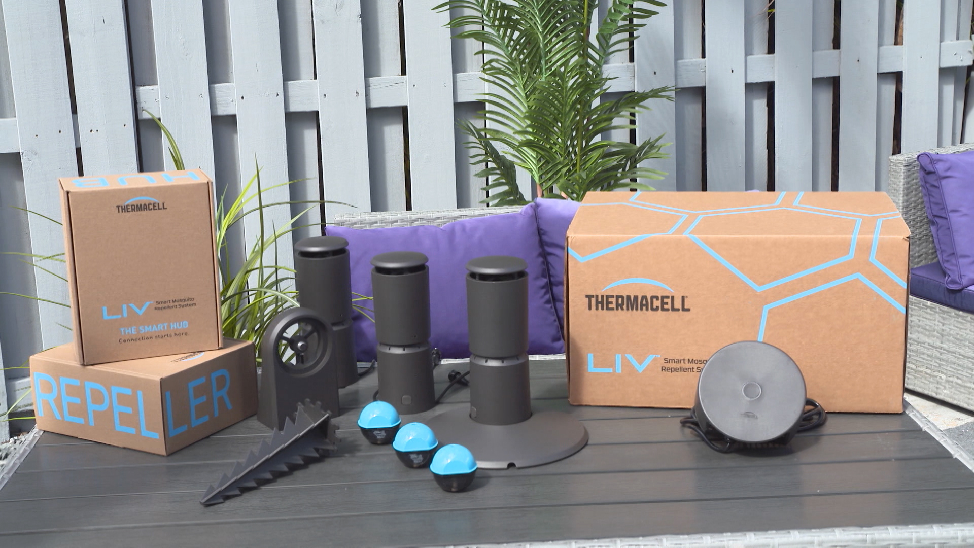 The Invisible Fence® A Safe and Affordable Alternative to Traditional